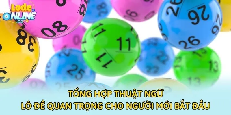 Tổng Hợp Thuật Ngữ Lô Đề Quan Trọng Cho Người Mới Bắt Đầu